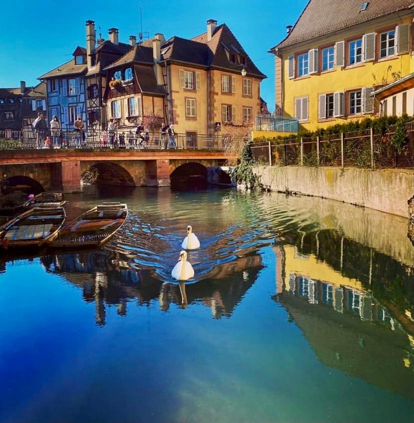 Maison 1708 - rue du canard - city center Colmar Exterior foto